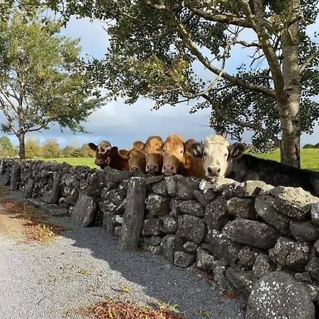 The Lookout Skibbereen