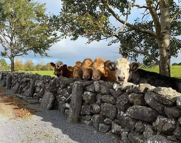 The Lookout Skibbereen
