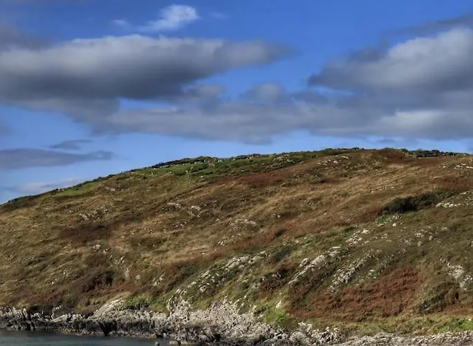 Gasthuis The Lookout *